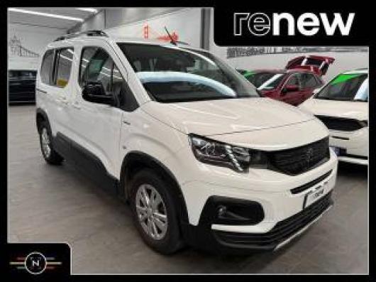 usato PEUGEOT Rifter