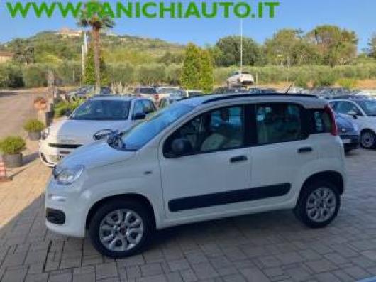 usato FIAT Panda