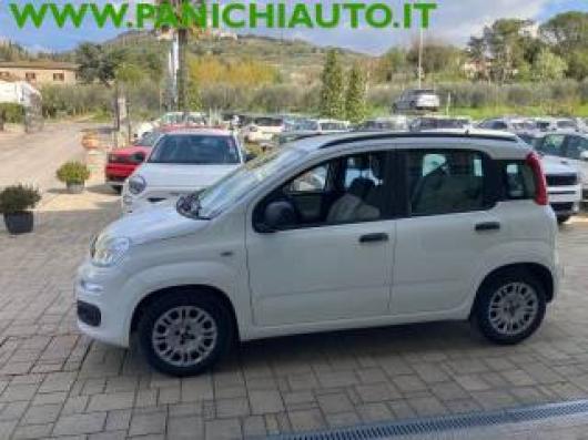 usato FIAT Panda