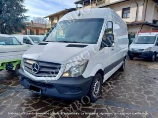 Sprinter
