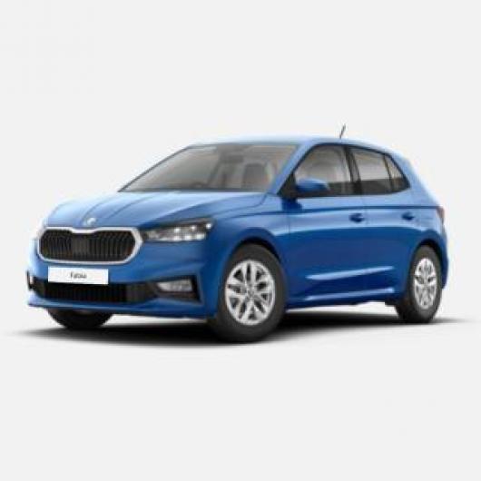 usato SKODA Fabia