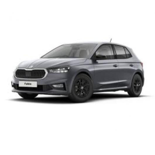 usato SKODA Fabia