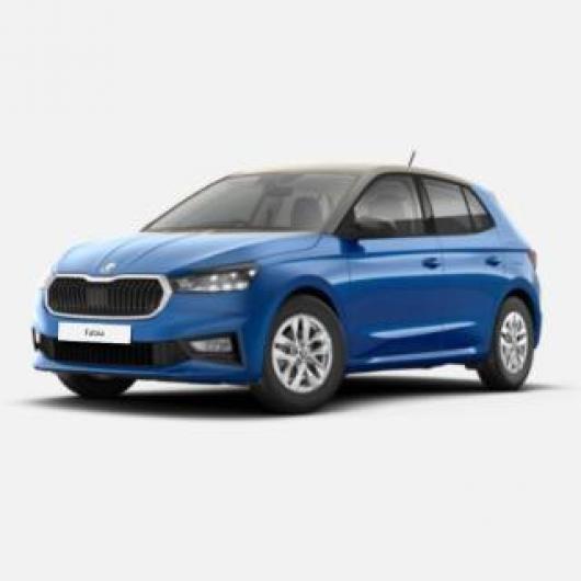usato SKODA Fabia