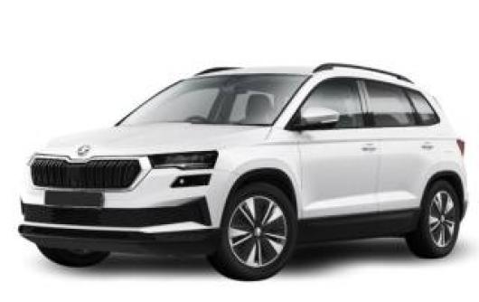 usato SKODA Kamiq