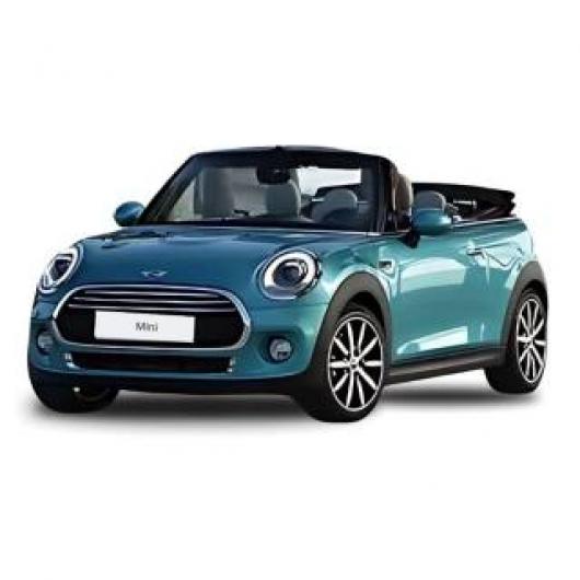 usato MINI Mini