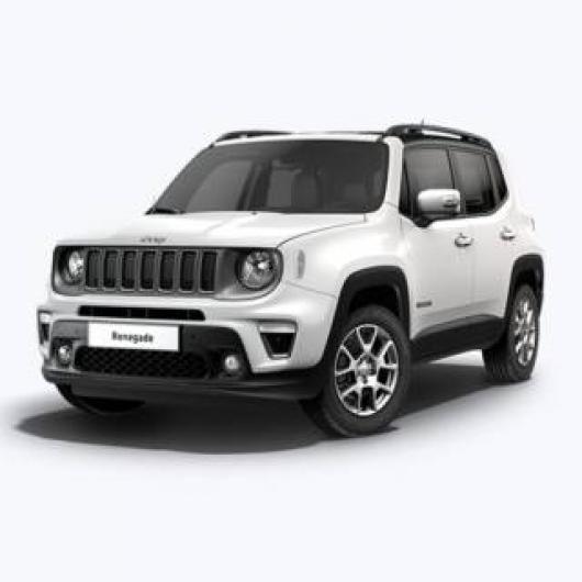 usato JEEP Renegade