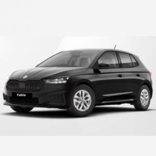 usato SKODA Fabia