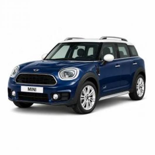 usato MINI Countryman