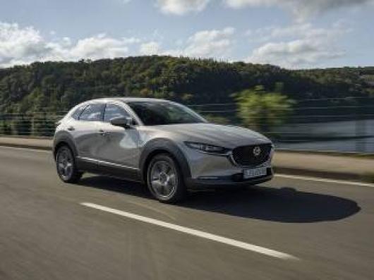 CX 30