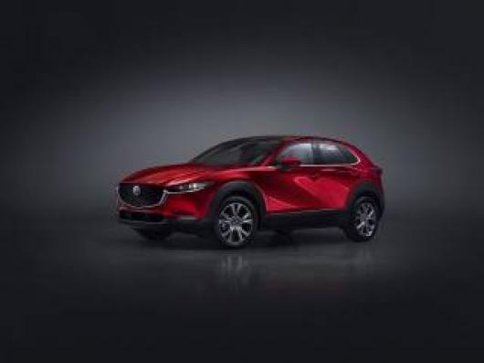 CX 30