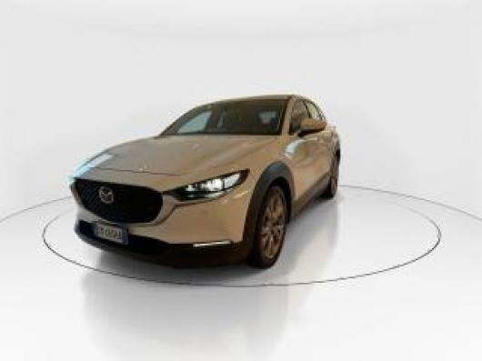 CX 30