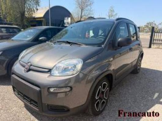 usato FIAT Panda