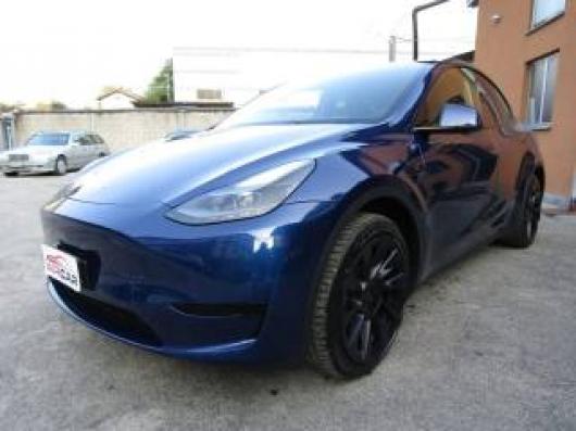Model Y