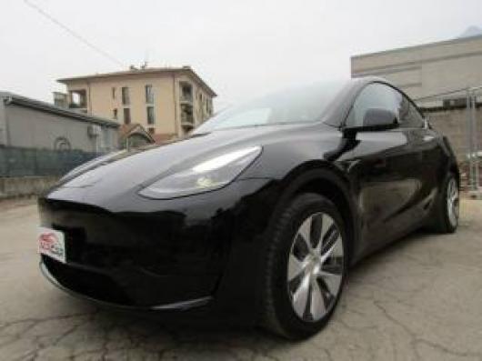 usato TESLA Model Y