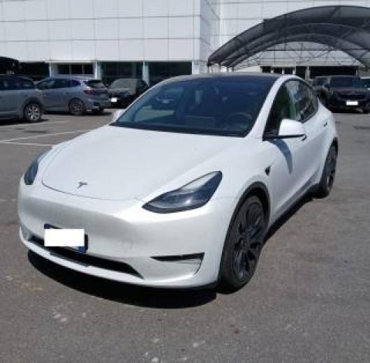usato TESLA Model Y