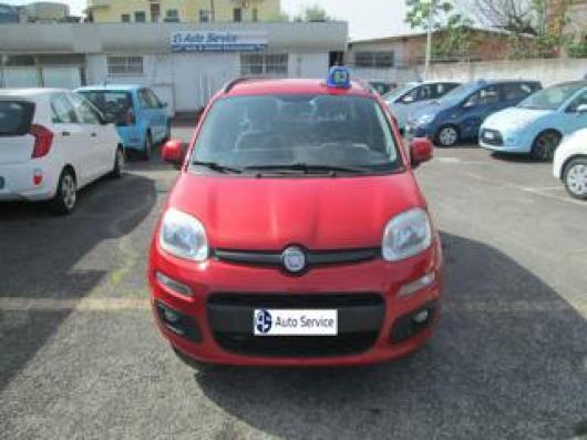 Panda