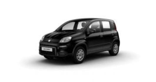 usato FIAT Panda