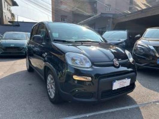 usato FIAT Panda