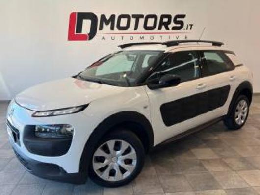 C4 Cactus