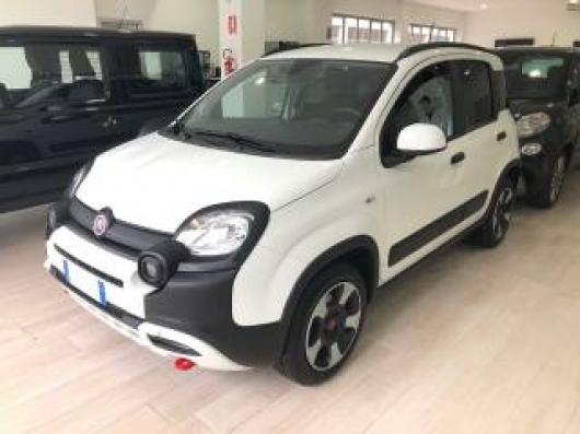 usato FIAT Panda