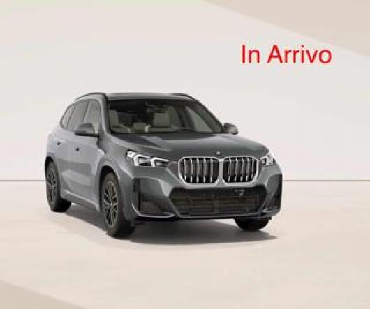 usato BMW X1