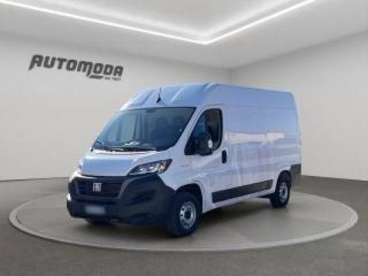 usato FIAT Ducato