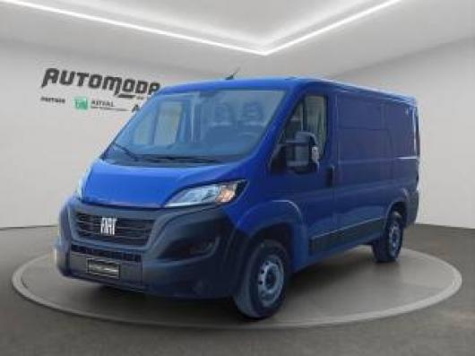 usato FIAT Ducato