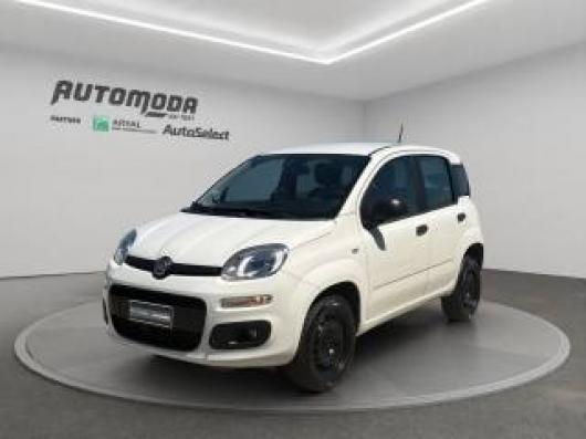 usato FIAT Panda