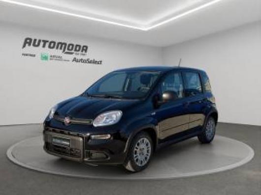 usato FIAT Panda