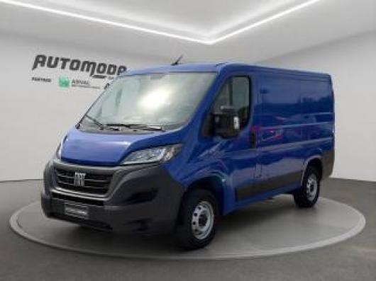 usato FIAT Ducato
