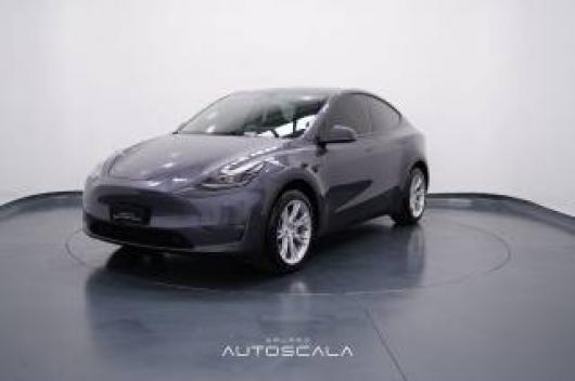 usato TESLA Model Y