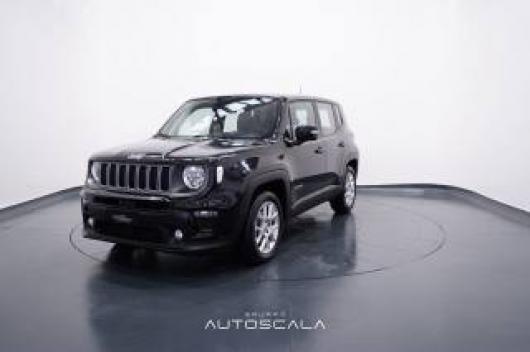 usato JEEP Renegade