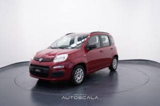 usato FIAT Panda