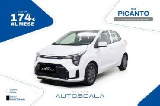 Km 0 KIA Picanto