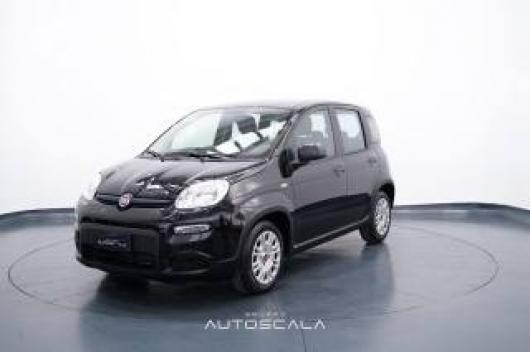 usato FIAT New Panda