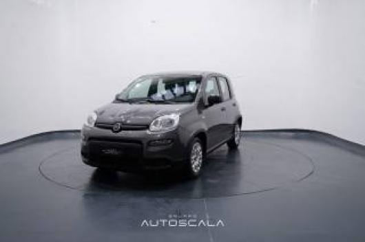 usato FIAT New Panda