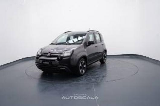 usato FIAT New Panda