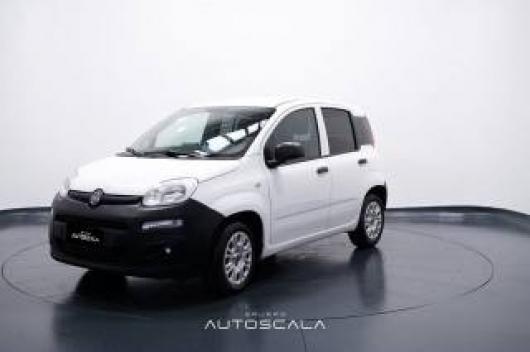 usato FIAT New Panda