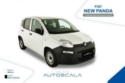 usato FIAT New Panda