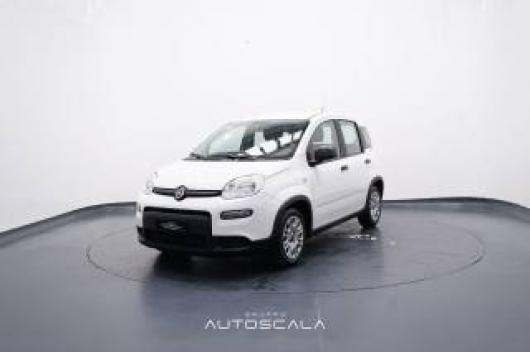 usato FIAT New Panda