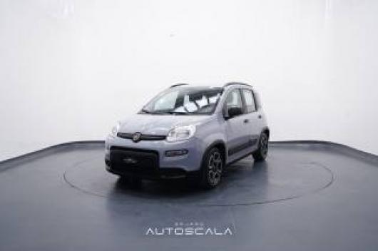 usato FIAT New Panda