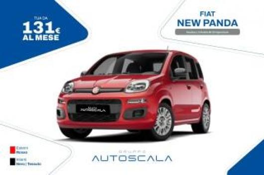 Km 0 FIAT New Panda