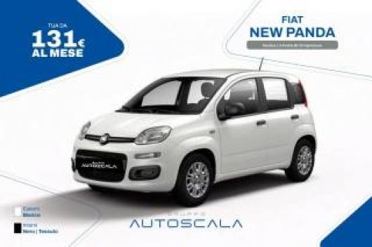 Km 0 FIAT New Panda