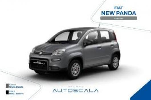usato FIAT New Panda