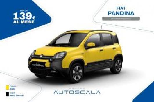 Km 0 FIAT Pandina
