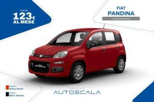 Km 0 FIAT Pandina