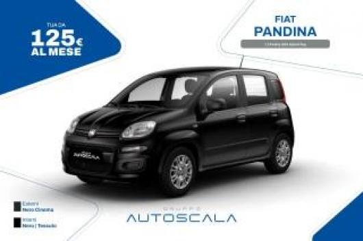 Km 0 FIAT Pandina