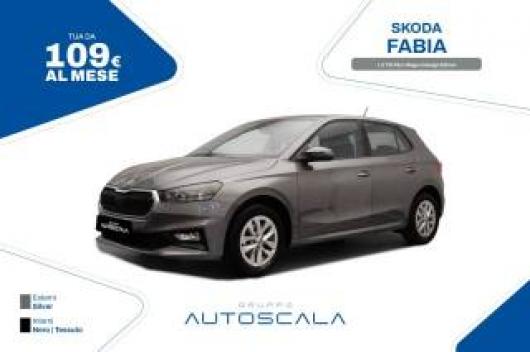 usato SKODA Fabia
