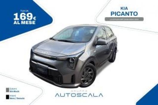 usato KIA Picanto