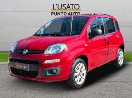 usato FIAT Panda